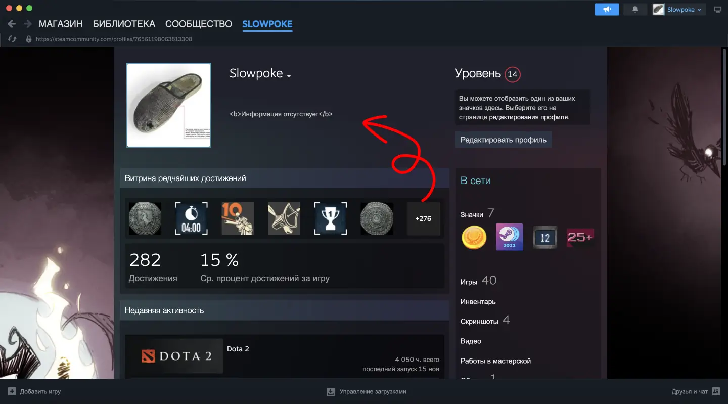 Описание профиля пользователя Steam