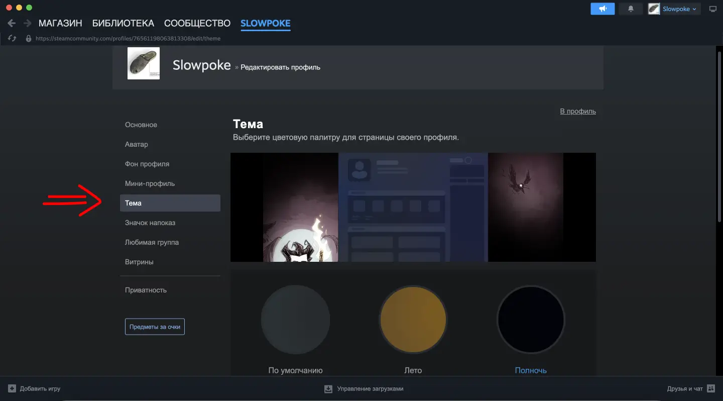 Выбор темы профиля Steam