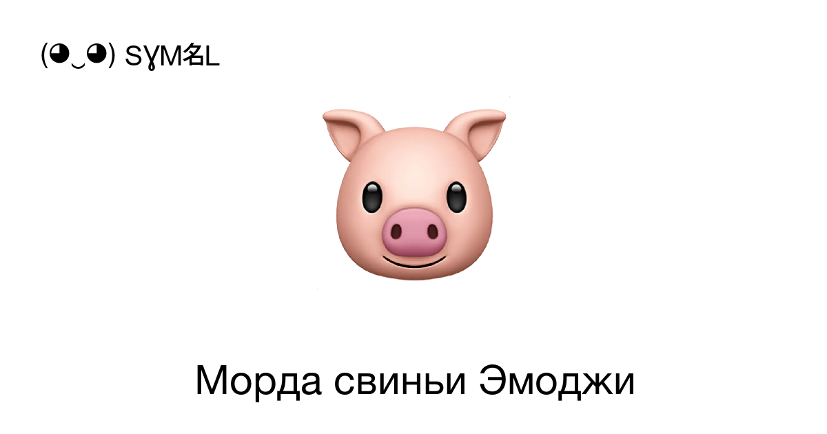 Наскальное изображение свиньи оказалось новым древнейшим рисунком животного