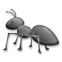 蟻