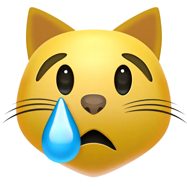 Cara de gato chorando