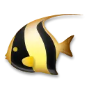 Tropikalna ryba