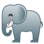 ช้าง