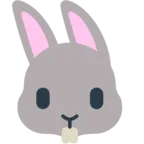 Tavşan Yüzü