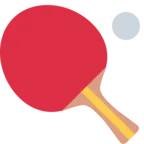 Ping-pong Paddle e palla