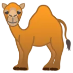 Dromader Camel