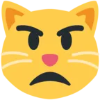 Cara de gato enfadado