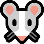 Cara do rato