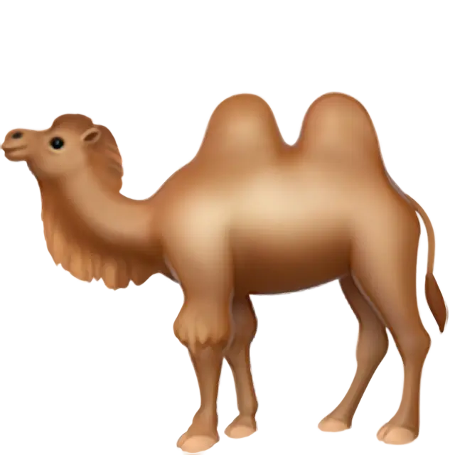Bactrian Kamel