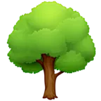 Лиственное дерево