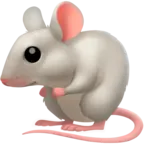 Șoarece