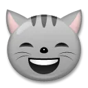 मुस्कुराती हुई आँखों से बिल्ली का चेहरा