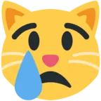Cara de gato llorando
