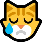 रोते हुए बिल्ली का चेहरा