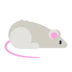マウス