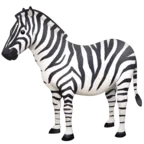 Zebra arc