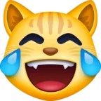 Face de chat avec larmes de joie