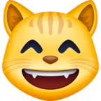 Vigyorgó macska arca mosolygó szemmel